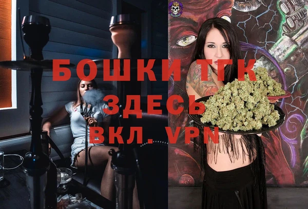 гидропоника Алзамай