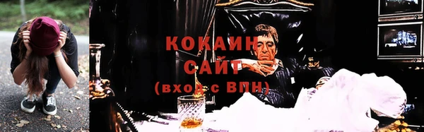 гидропоника Алзамай