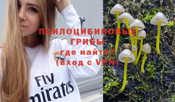 гидропоника Алзамай