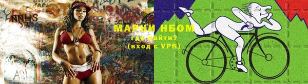 метадон Алексин