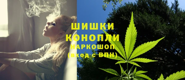 гидропоника Алзамай