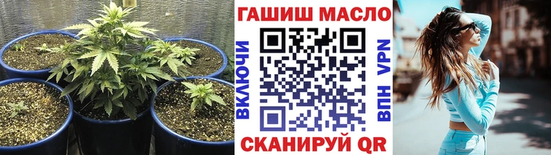 ТГК гашишное масло  наркотики  Ахтубинск 