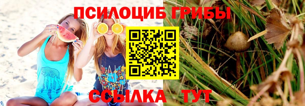 Псилоцибиновые грибы GOLDEN TEACHER  Галлюциногенные грибы GOLDEN TEACHER  Ахтубинск  Вход с VPN 